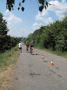 IMG_3928.jpg