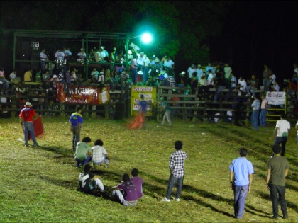 DSCN9987.jpg DSCN9987