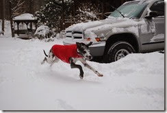DSC_0125 DSC_0125