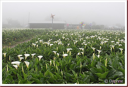 IMG_2680 IMG_2680