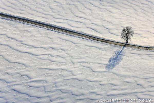 Einsamer Baum Einsamer Baum