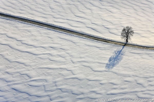 Einsamer Baum