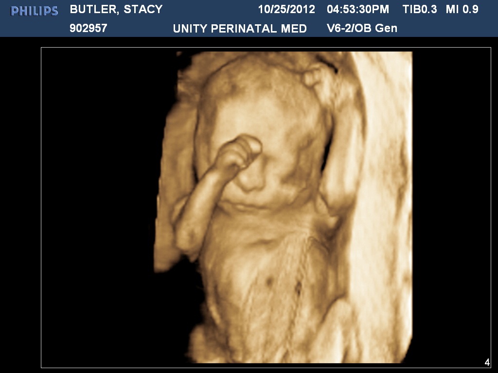 [BUTLERSTACY20121025165331067%255B4%255D.jpg]