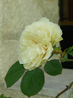 P1090083.JPG