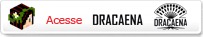 botão dracaena botão dracaena