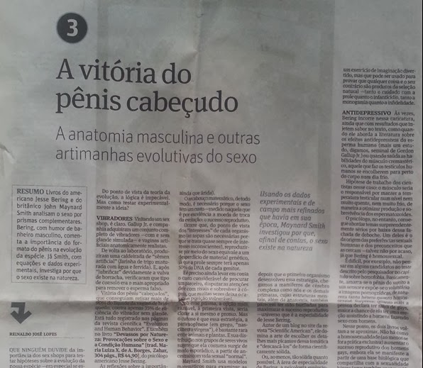 Pênis Cabeçudo Pênis Cabeçudo