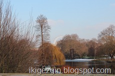 IMG_0914 IMG_0914