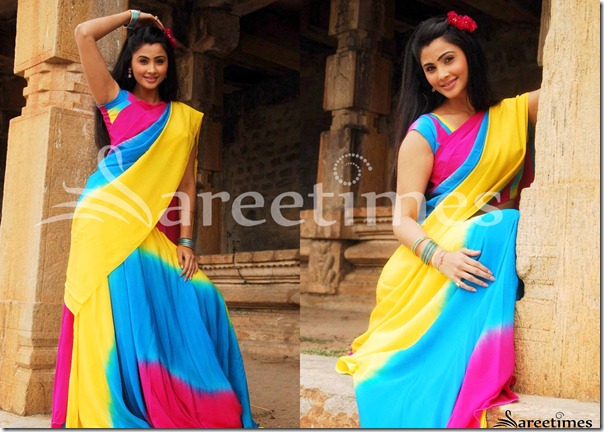 Daisy_Shah_Multicolor_Saree Daisy_Shah_Multicolor_Saree