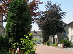 IMG_0223 IMG_0223