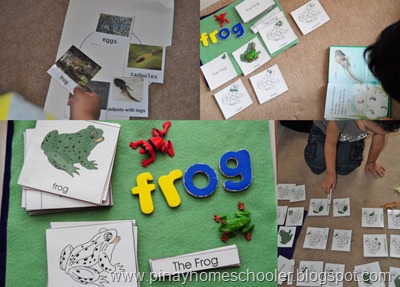 Frog Unit for Preschoolers