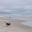 DSC_0209.jpg