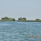 1616 - Canalul Bibanilor dinspre Uzlina - DSCN0213.jpg