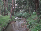 Victoria Park