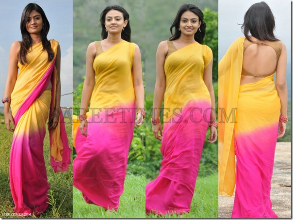 Nikitha_Narayan_Dual_Color_Saree