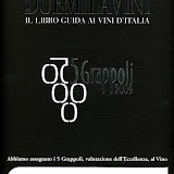 DUEMILAVINI - 5 grappoli - NERO DI VITE 2004