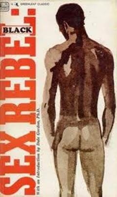 [OBAMA%2520mentor%2520book%2520Black%2520Sex%2520Rebel%255B5%255D.jpg]