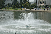 IMG_4379.JPG