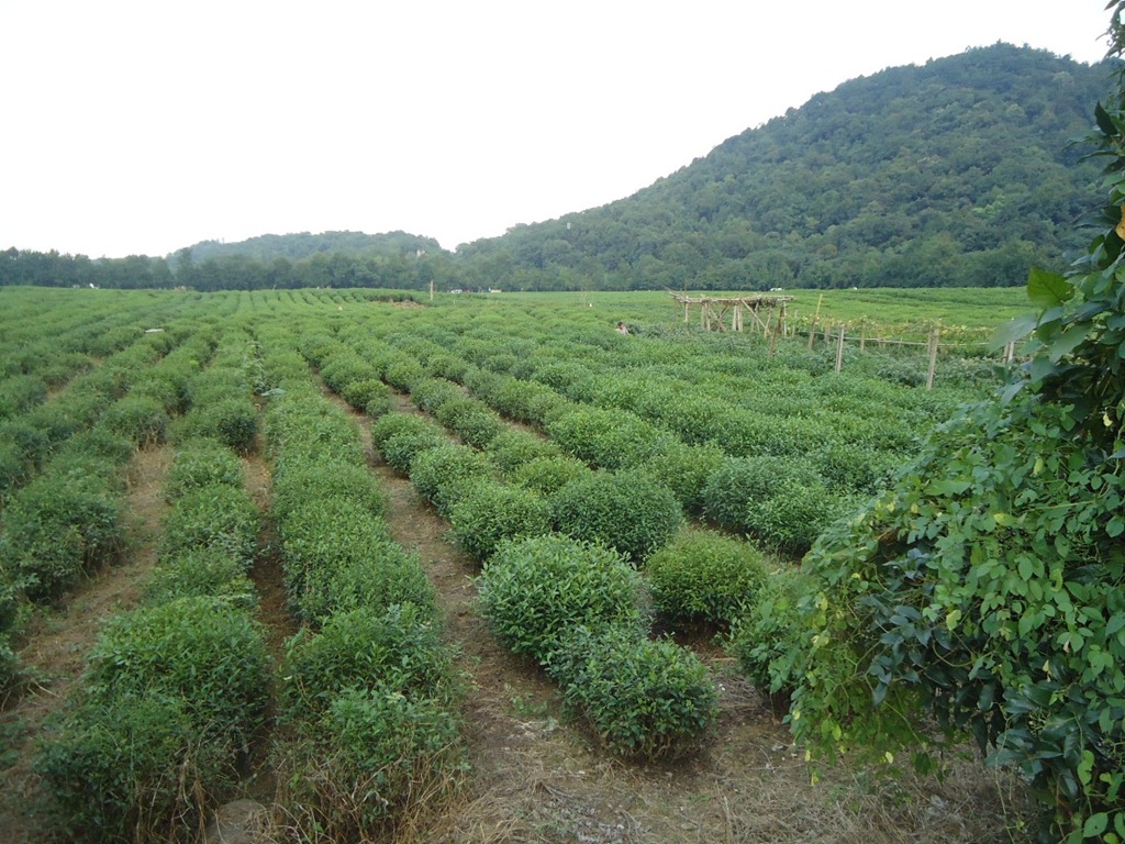 [DSC06001%255B3%255D.jpg]