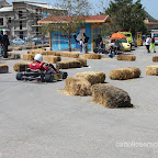 IMG_5143.jpg