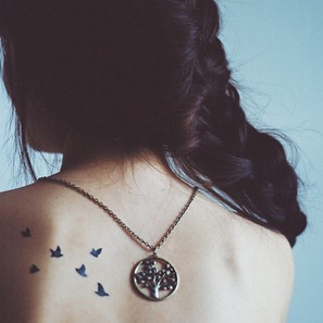 beautiful-bird-birds-cute-fashion-Favim.com-129576_large beautiful-bird-birds-cute-fashion-Favim.com-129576_large