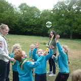 Beavers at Buckmore Park 2011 - P1010361.JPG