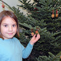 Holiday Tree Decorating