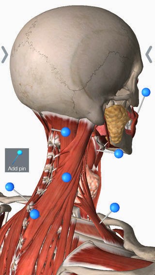essential anatomy 3d apk