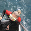 MPTseals3.JPG
