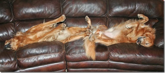 IMG_5284 IMG_5284