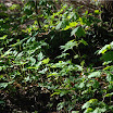 bDSC_0222.jpg