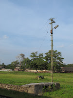 IMG_0228.JPG