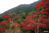 DSC00321.JPG