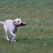 IMG_1240.JPG
