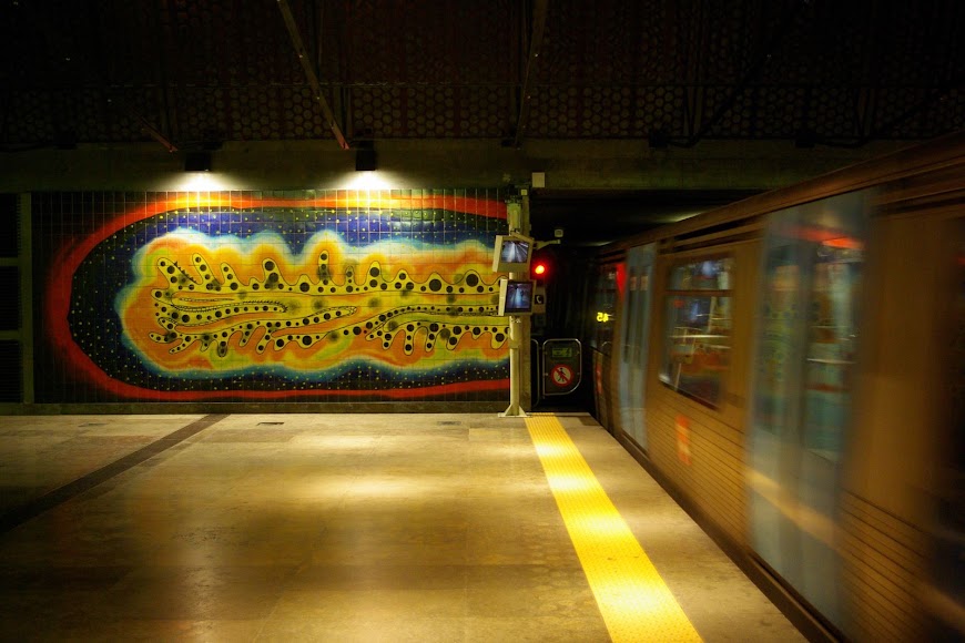 IMGP1455.JPG