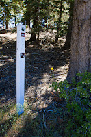 Trailhead at Blue Ridge Campground Photo Trailhead at Blue Ridge Campground Photo