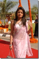 sneha ullal in saree www.143fun.blogspot.com
