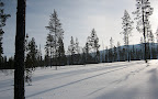 IMG_2228