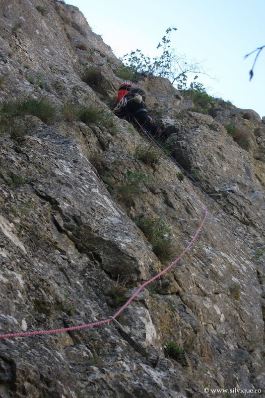 Bicicleta in zona Campina