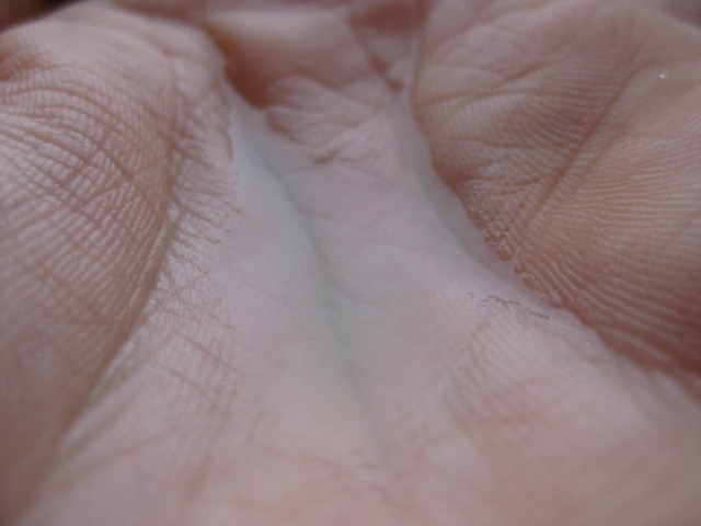 [IMG_5326%255B5%255D.jpg]
