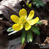 dsc07144.jpg
