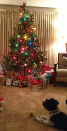 IMG_4502.jpg IMG 4502