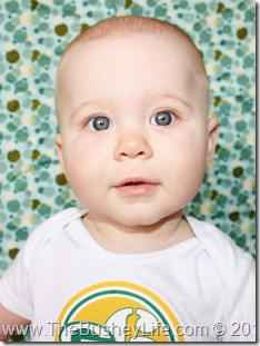 IMG_0077 (2) IMG_0077 (2)