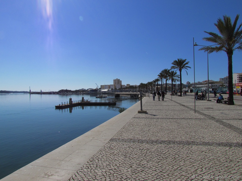 [IMG_36583%255B1%255D.jpg]