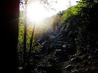 IMG_5604v2.jpg Photo