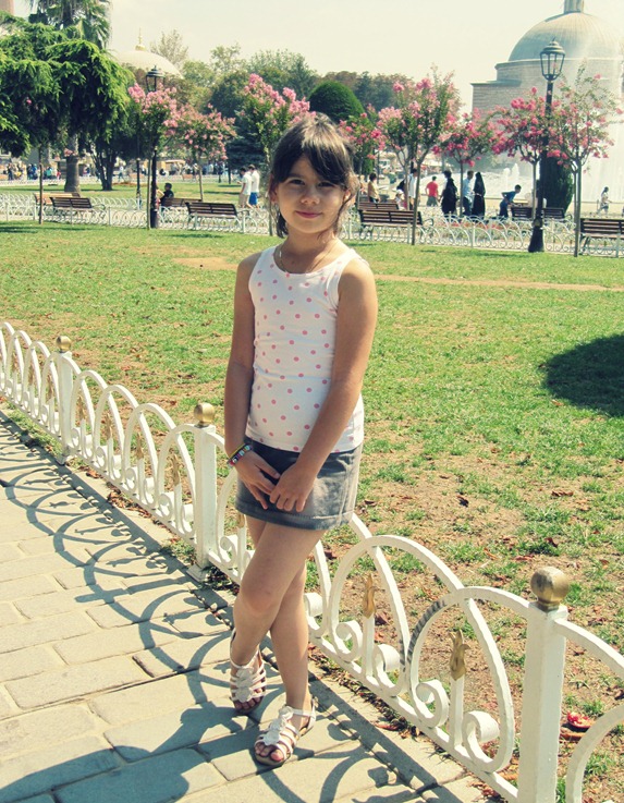 IMG_2550 IMG_2550