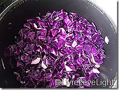 DSCF1567 DSCF1567