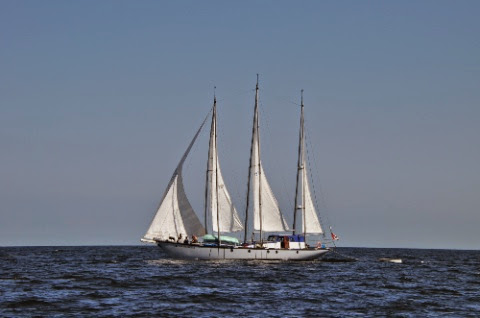 DSC_0340_2.jpg DSC 0340 2