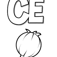 ce.jpg