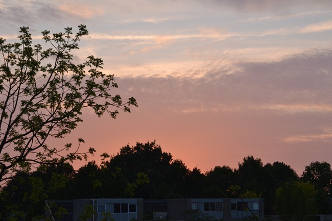 DSC_1477 DSC_1477