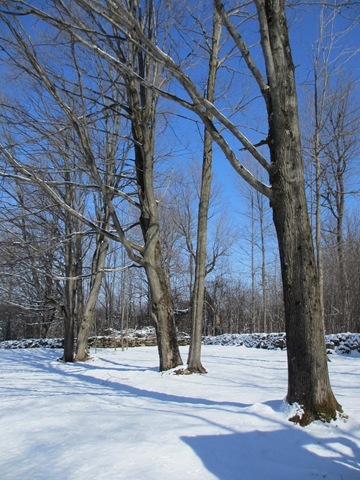 IMG_0228 IMG_0228